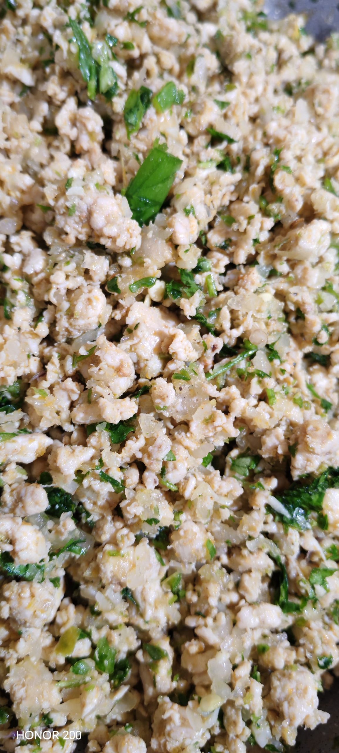 Chicken Stir Fry Spring Rolls - 1 dozen - Image 3